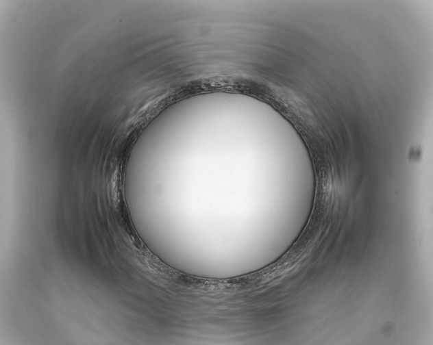 X0000092051060200709121020