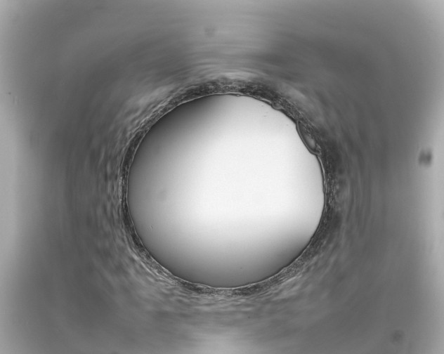 X0000092051061200709121020