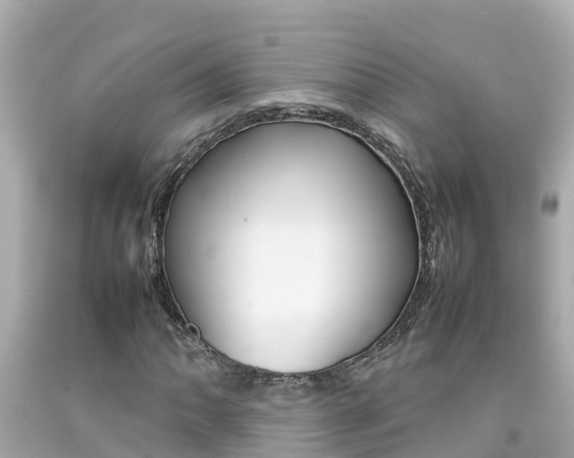 X0000092051062200709121020