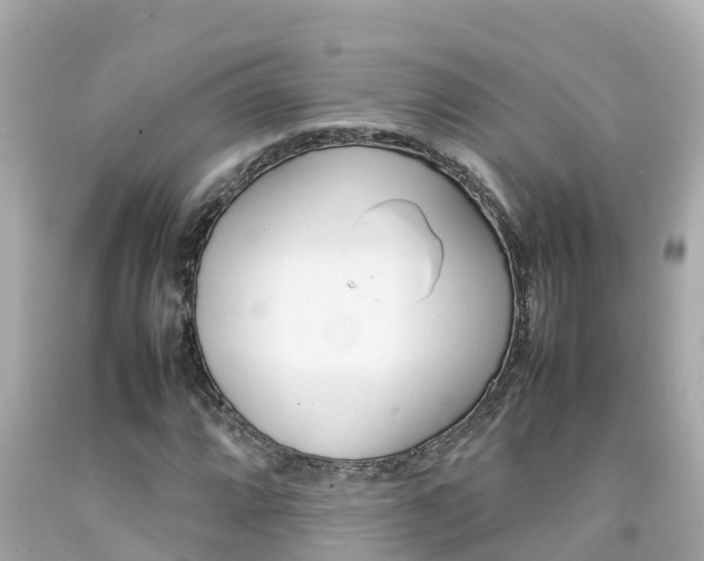 X0000092051064200709121020