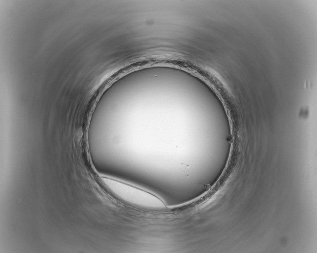 X0000092051065200709121020