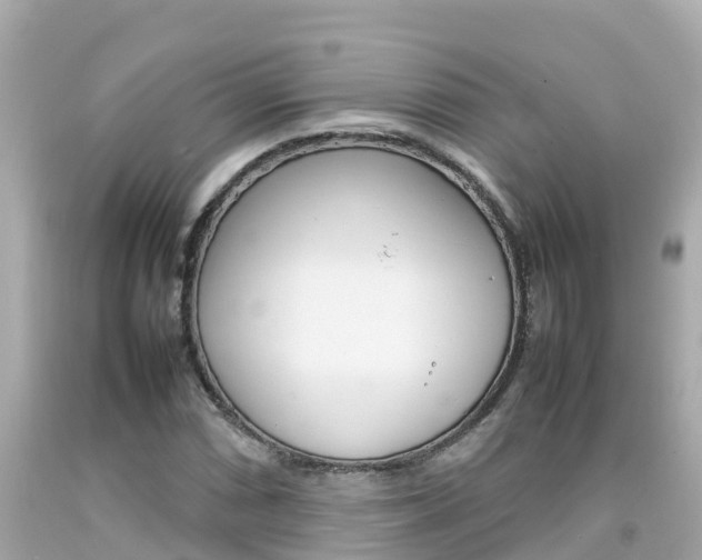 X0000092051066200709121020