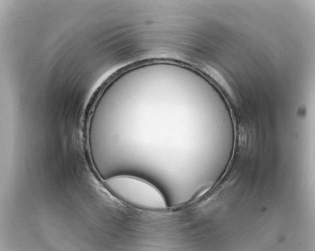 X0000092051068200709121020