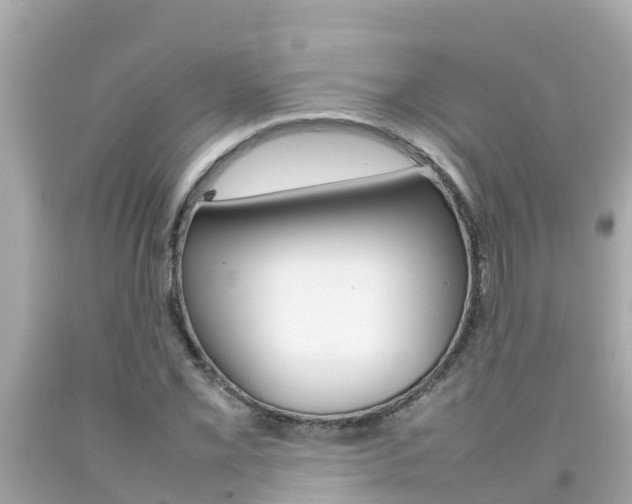 X0000092051069200709121020