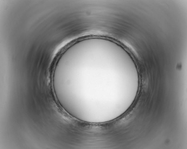 X0000092051070200709121020