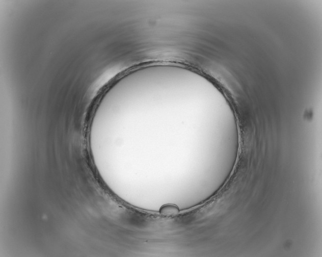 X0000092051071200709121020