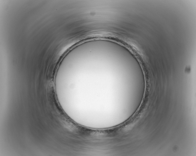 X0000092051073200709121020