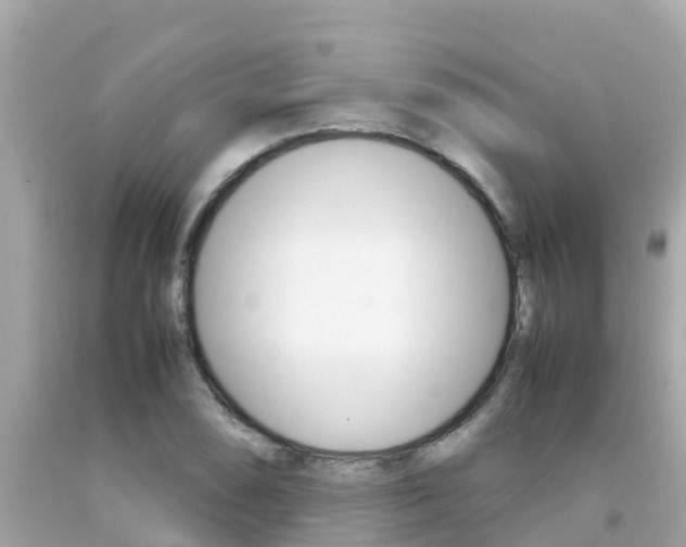 X0000092051074200709121020