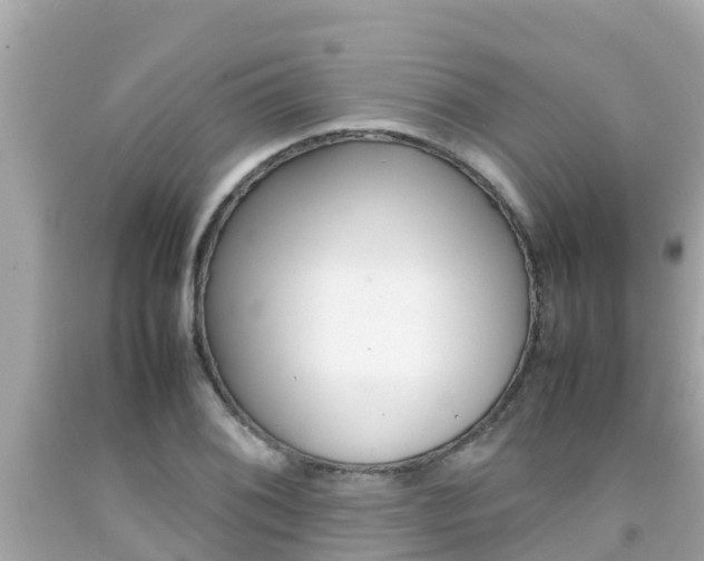 X0000092051076200709121020