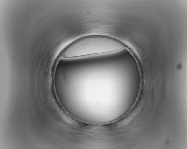 X0000092051077200709121020