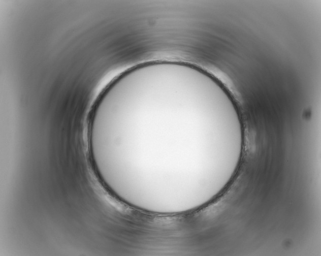 X0000092051078200709121020