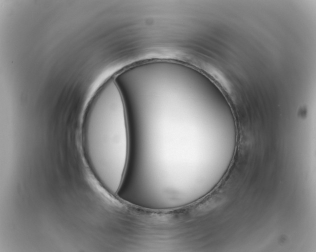 X0000092051080200709121020