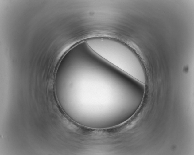 X0000092051081200709121020