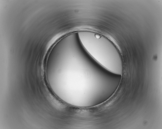 X0000092051082200709121020