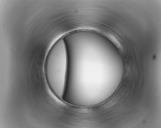 X0000092051084200709121020