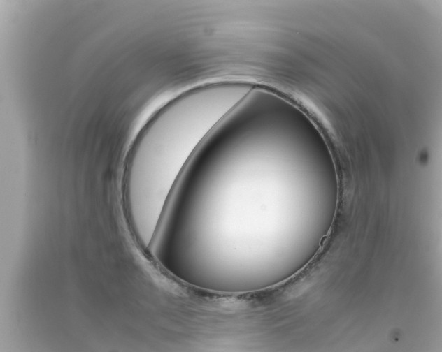 X0000092051085200709121020