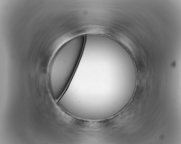 X0000092051087200709121020