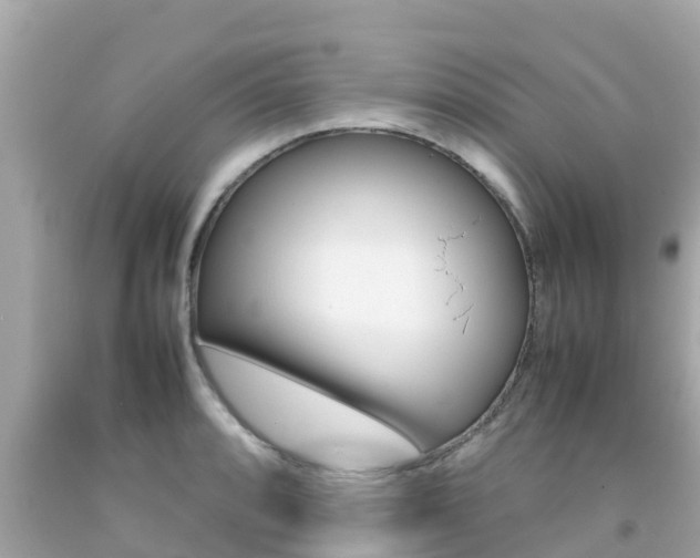 X0000092051088200709121020