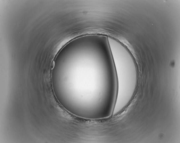 X0000092051089200709121020