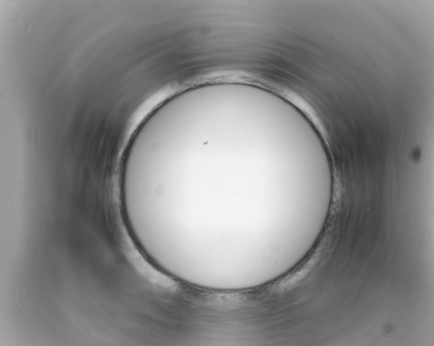 X0000092051090200709121020