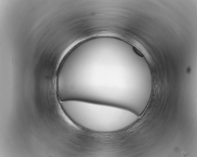 X0000092051092200709121020