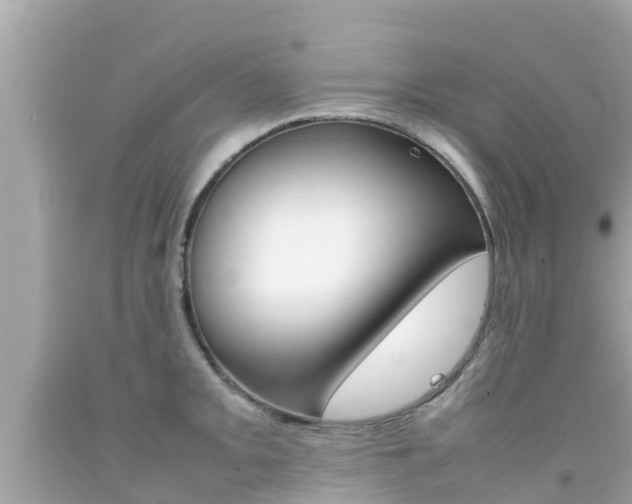 X0000092051093200709121020