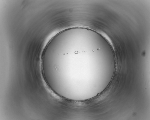 X0000092051096200709121020