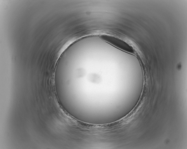 X0000092051097200709121020