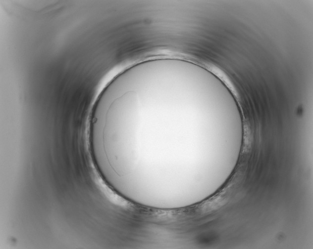 X0000092051098200709121020
