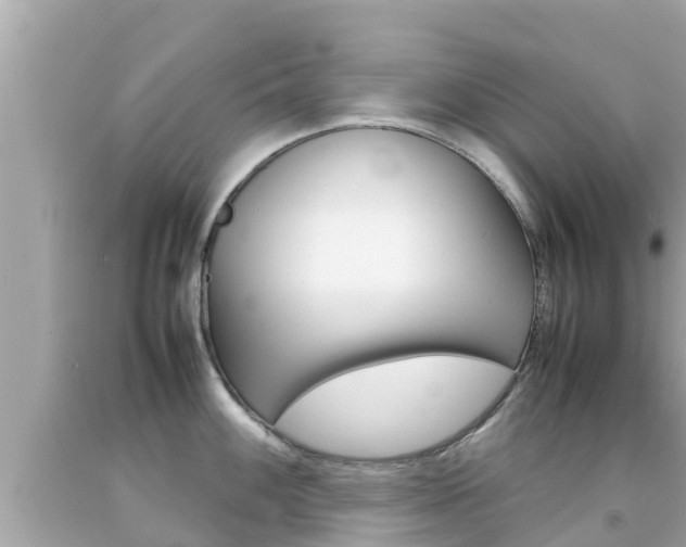 X0000092051100200709121020
