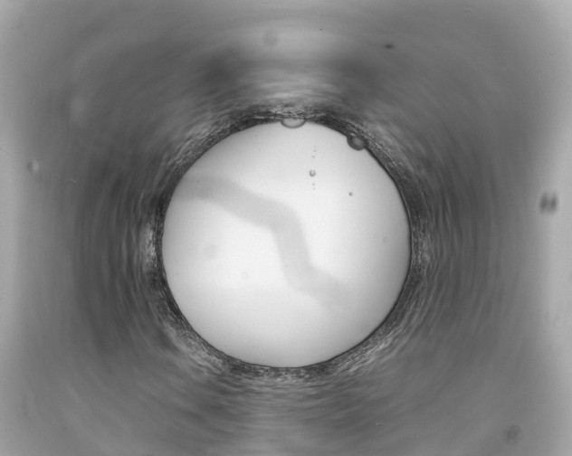 X0000092051106200709121019