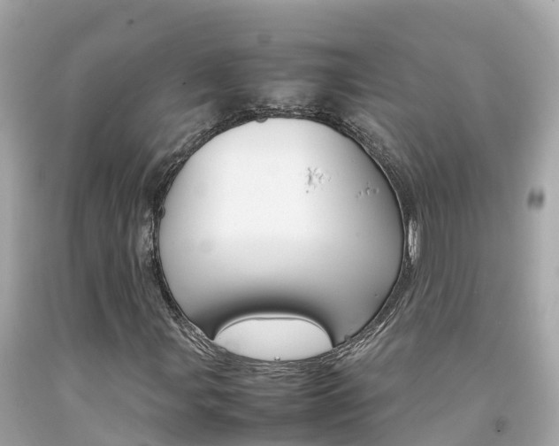 X0000092051107200709121019