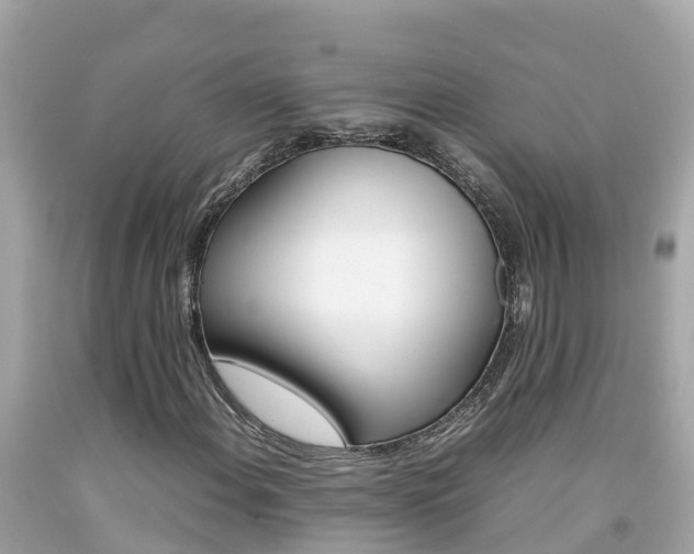X0000092051108200709121019