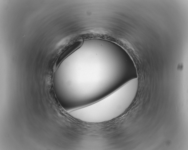 X0000092051110200709121019