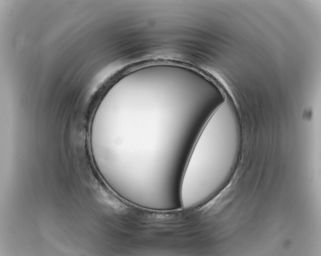 X0000092051115200709121019