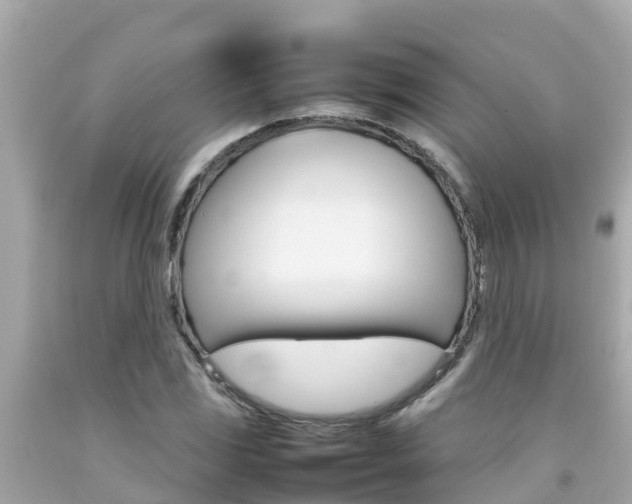 X0000092051117200709121019