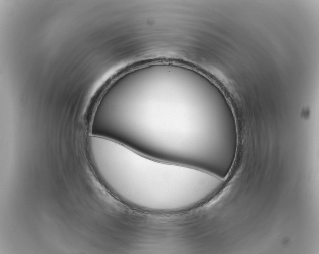 X0000092051118200709121019