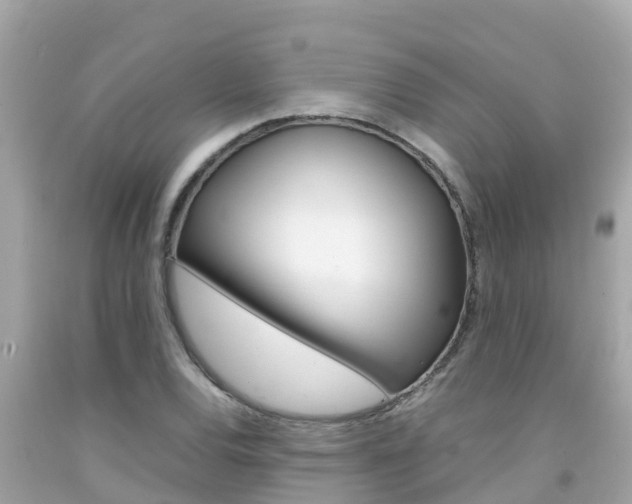 X0000092051120200709121019
