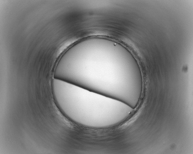 X0000092051121200709121020
