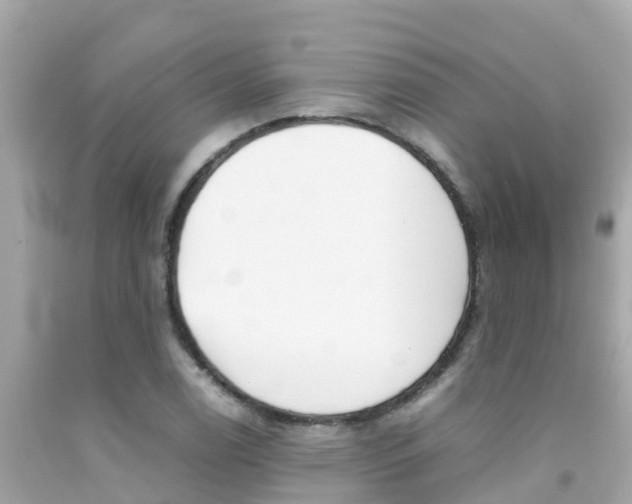 X0000092051122200709121020