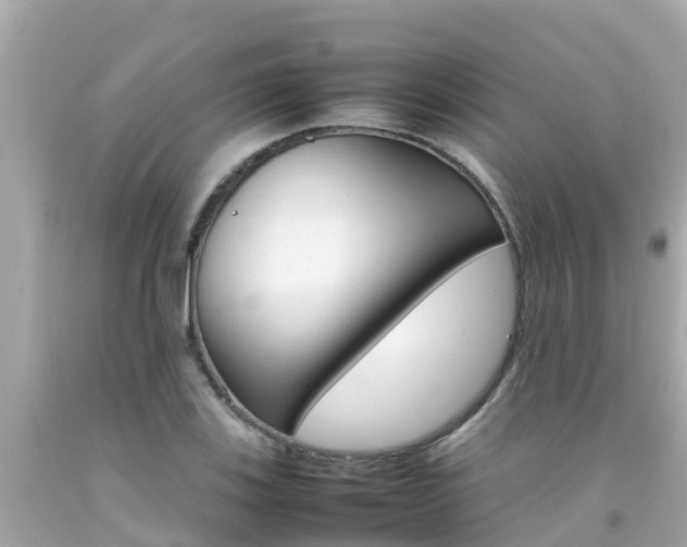 X0000092051123200709121020