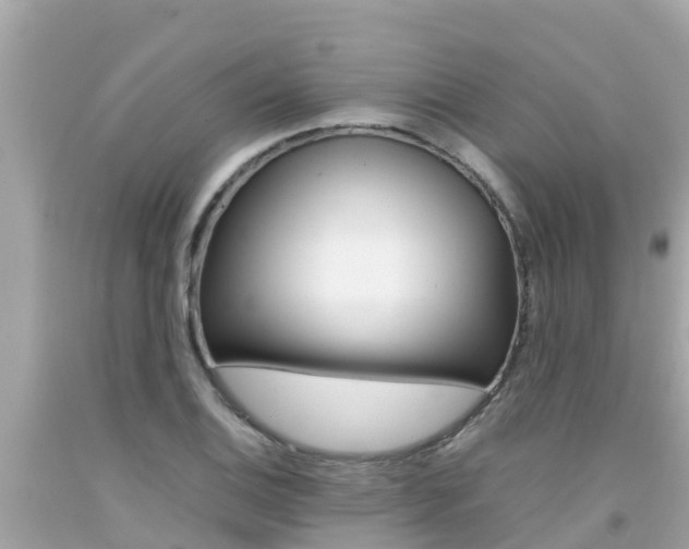 X0000092051124200709121020