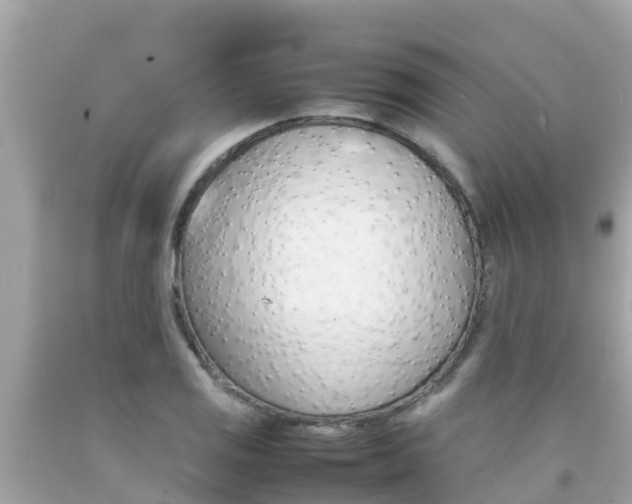 X0000092051125200709121020