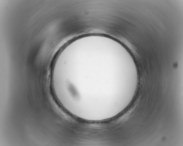 X0000092051126200709121020