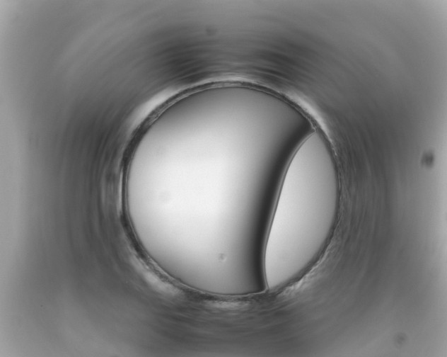 X0000092051127200709121020