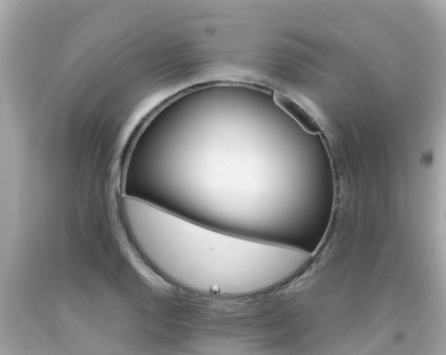 X0000092051128200709121020