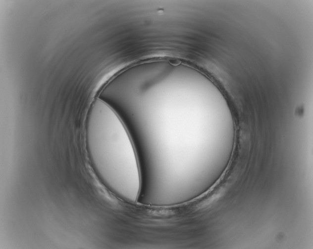 X0000092051129200709121020