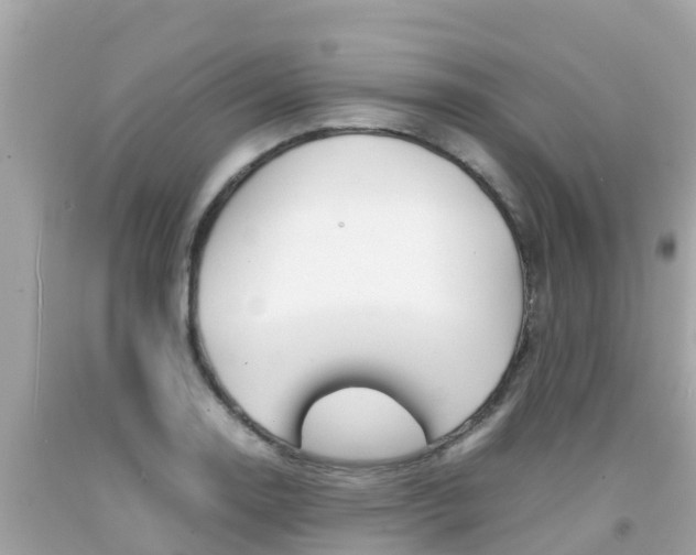 X0000092051130200709121020