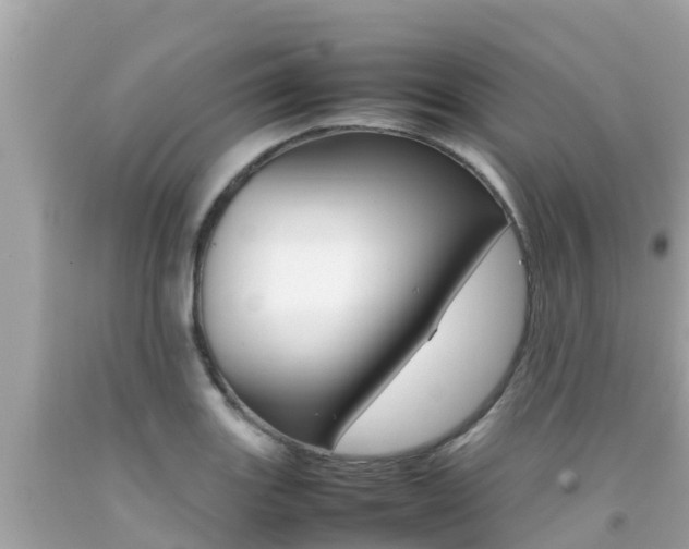 X0000092051131200709121020