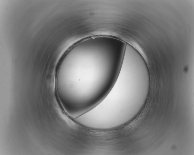 X0000092051132200709121020